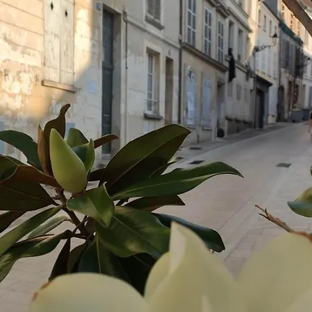 Appartement Esope By Kleidos-ravissant T2 En Plein Centre De